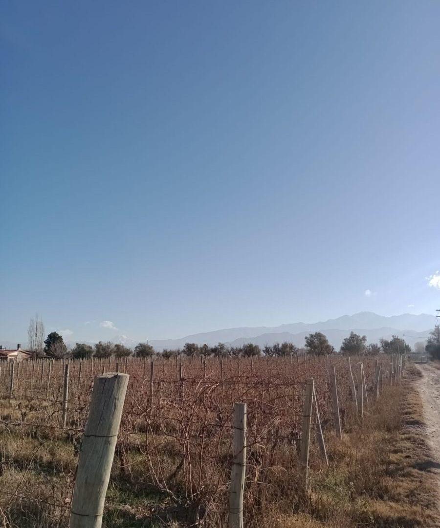 Foto de CAPITAL PROP VENDE! (MAU) Terreno/Lote Barrio Privado Vistalba Quattro, imagen 4