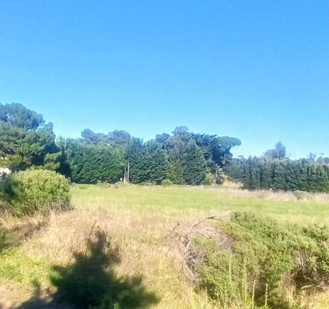 OPORTUNIDAD DE INVERSIÓN | 5 LOTES EN BLOCK EN CHAPADMALAL 4