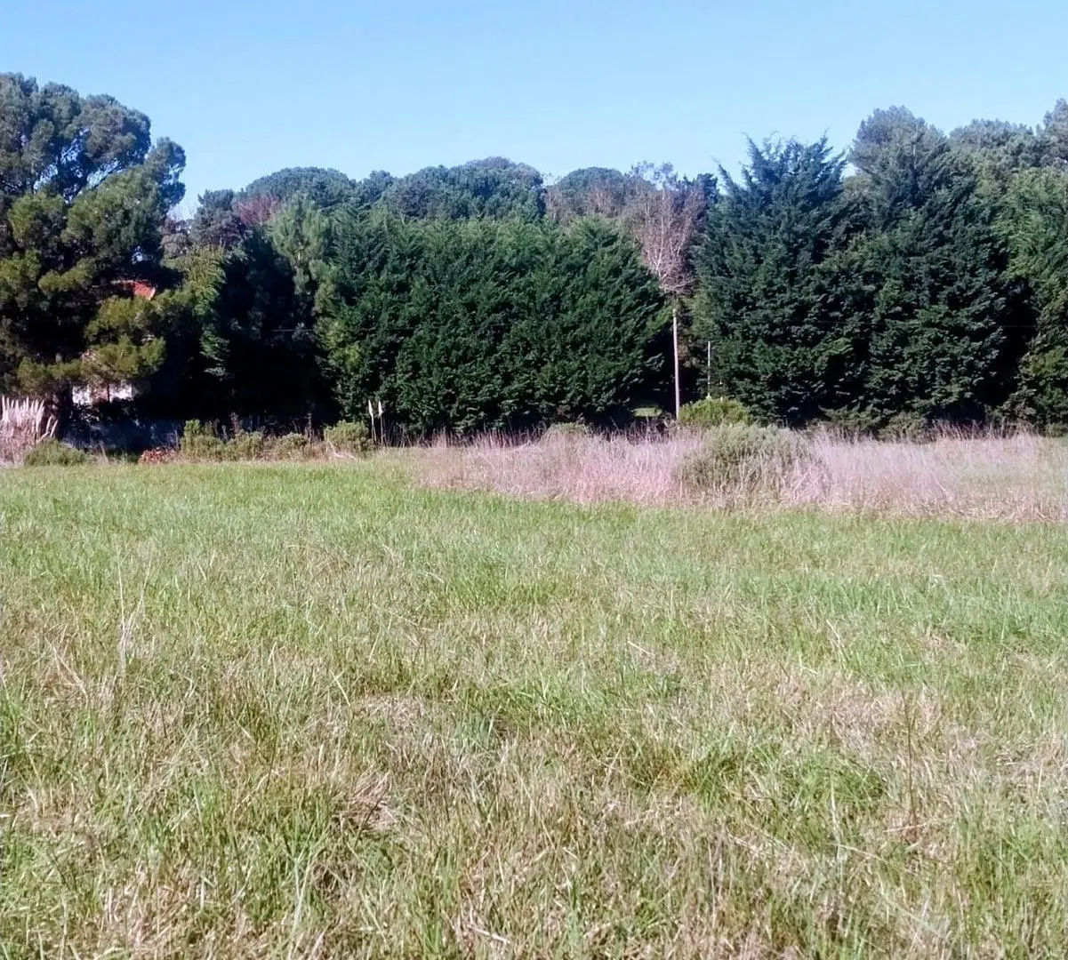 OPORTUNIDAD DE INVERSIÓN | 5 LOTES EN BLOCK EN CHAPADMALAL 2