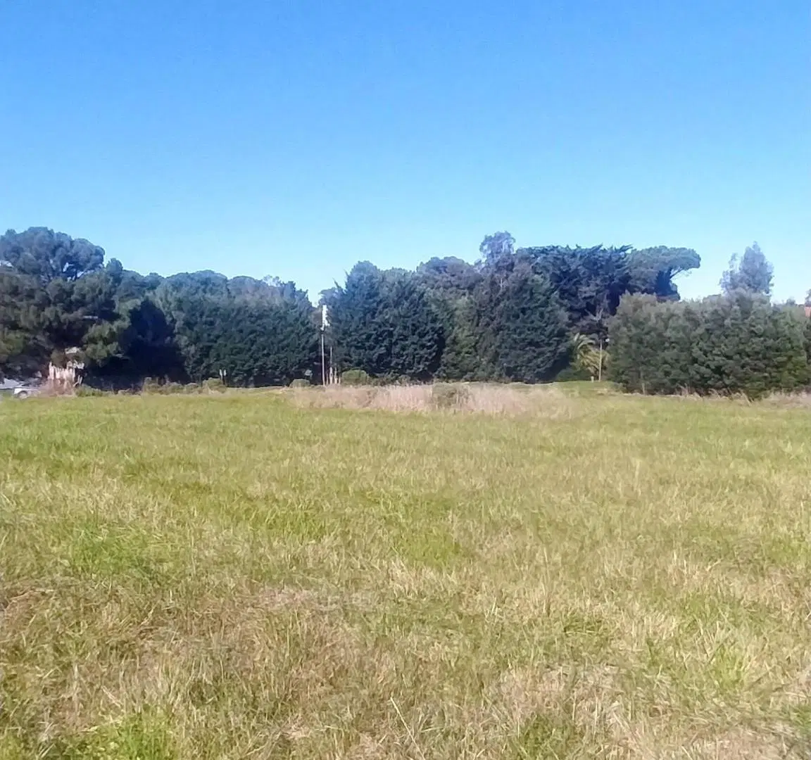 OPORTUNIDAD DE INVERSIÓN | 5 LOTES EN BLOCK EN CHAPADMALAL 5