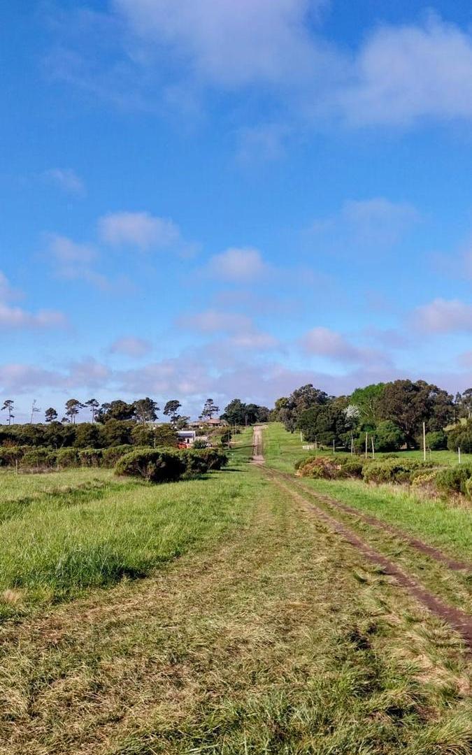 Foto de LOTE EN VENTA | SANTA ISABEL – CHAPADMALAL, imagen 1
