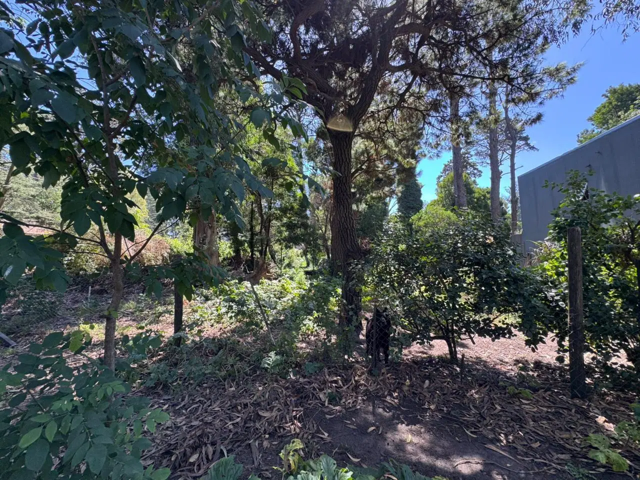 VENTA - Lote en esquina 450 m2 – Bosque Peralta Ramos 2