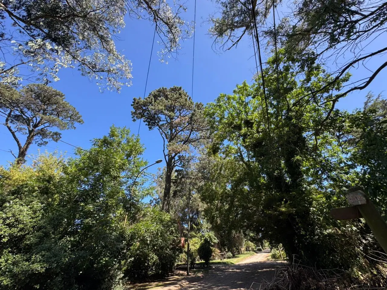 VENTA - Lote en esquina 450 m2 – Bosque Peralta Ramos 4