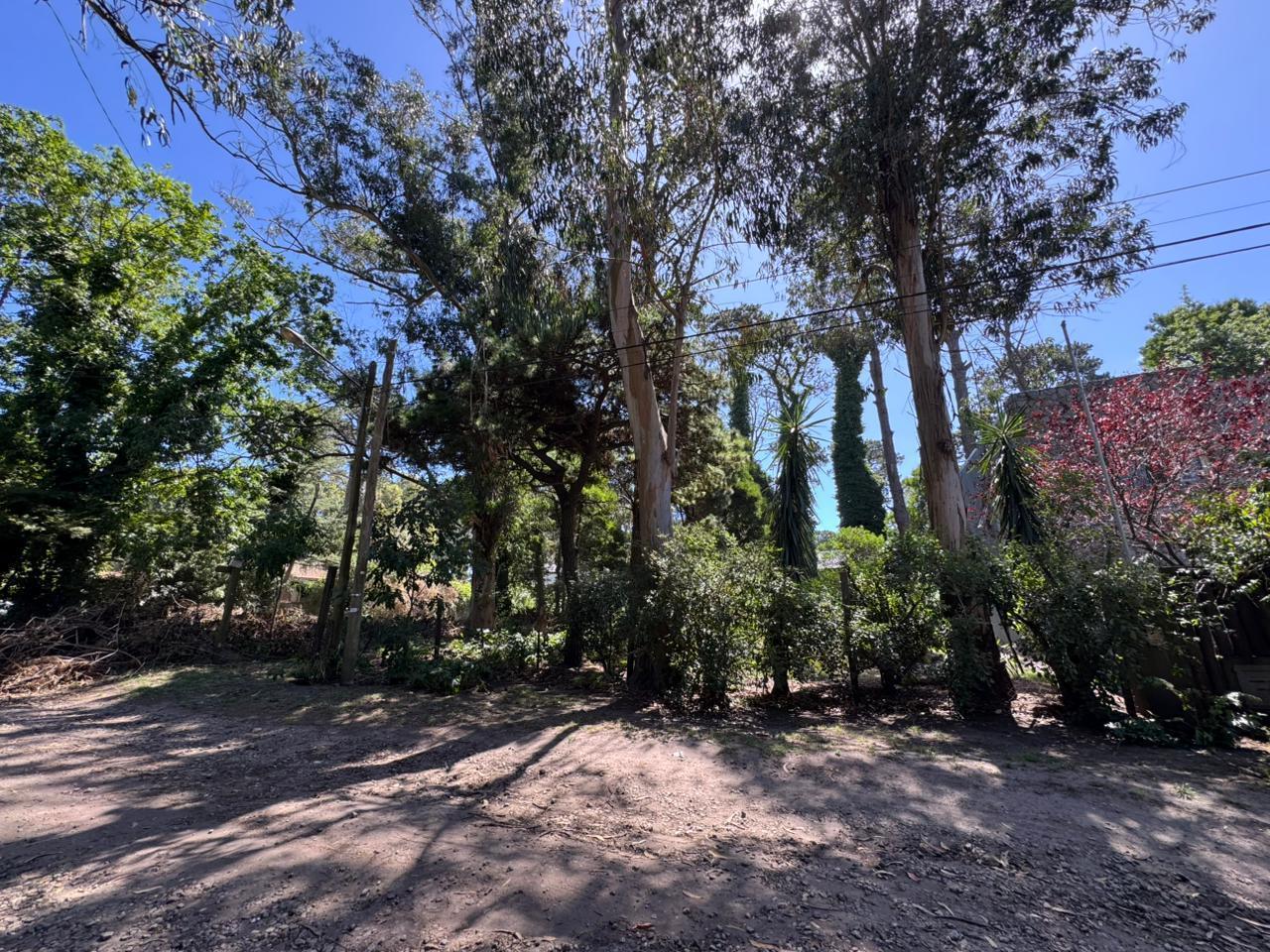 VENTA - Lote en esquina 450 m2 – Bosque Peralta Ramos