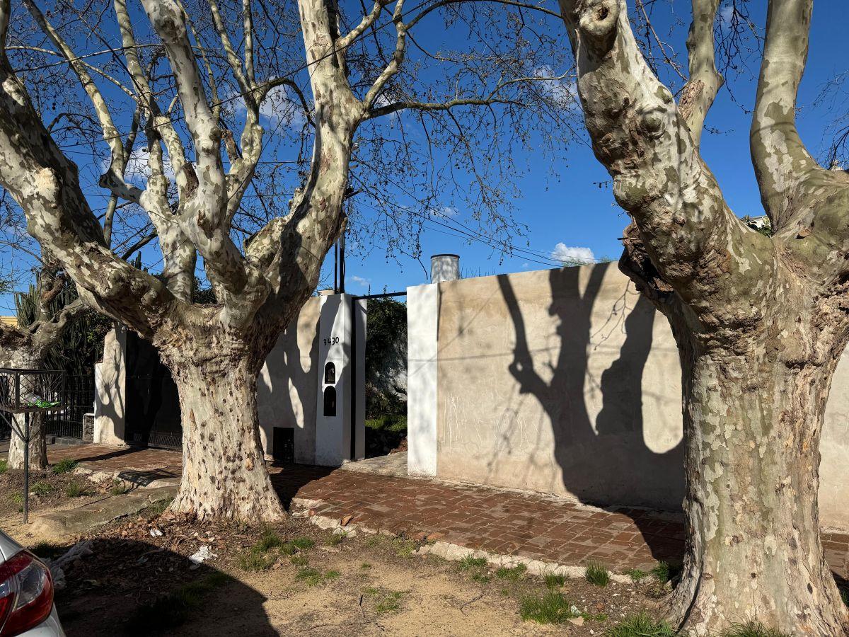 Foto de CASA APTA A CREDITO HIPOTECARIO- R. CALZADA, imagen 2