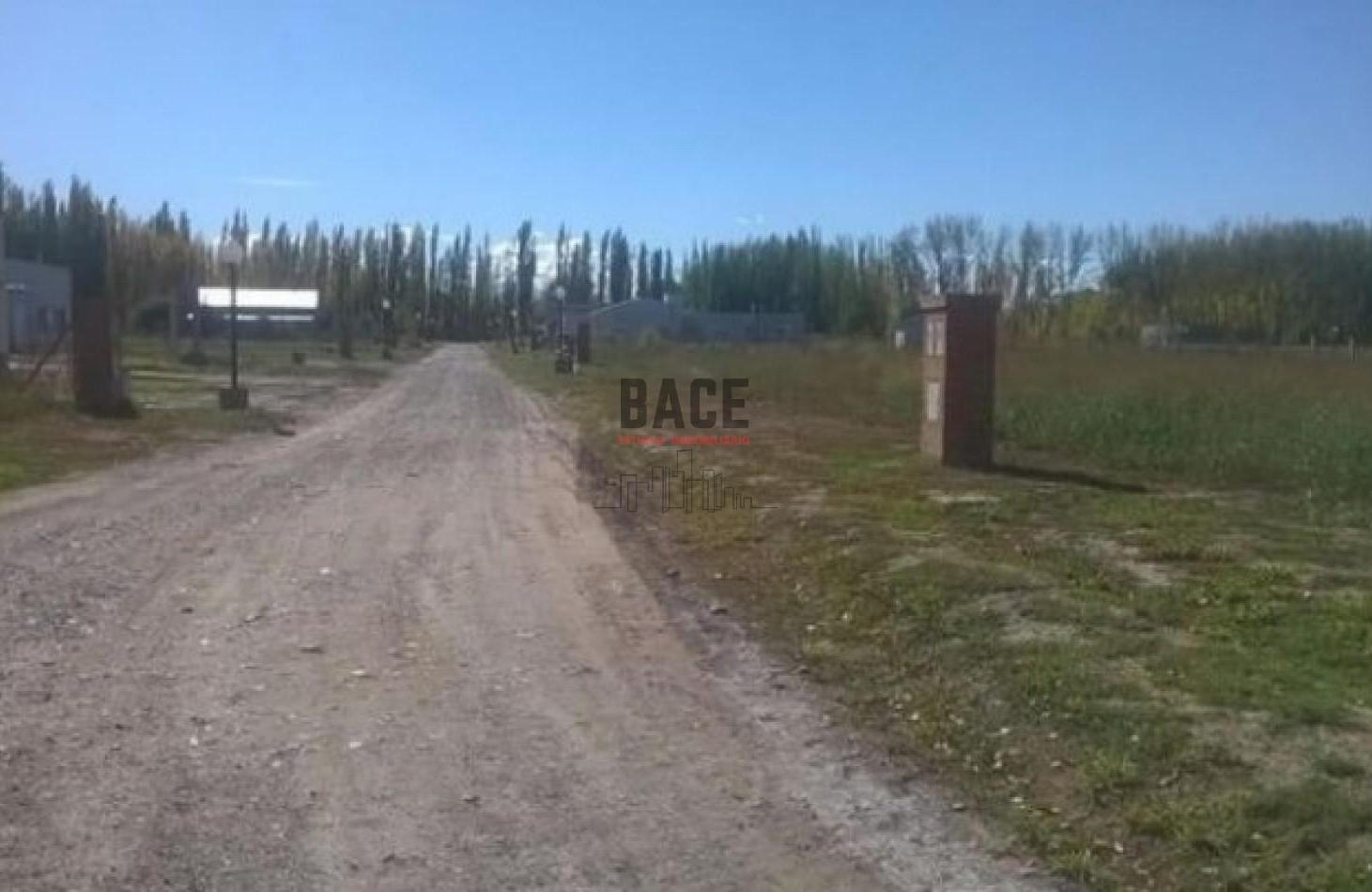 Foto de Hermoso Lote B° privado La Escondida - Cipolletti, Rio negro APTO, imagen 4