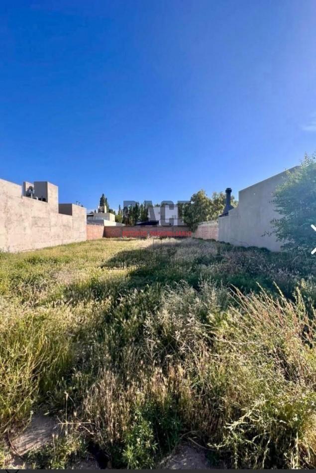 Foto de VENTA LOTE DE 450 MT EN B° RESIDENCIAL MANZANZAR - CIPOLLETTI, imagen 1