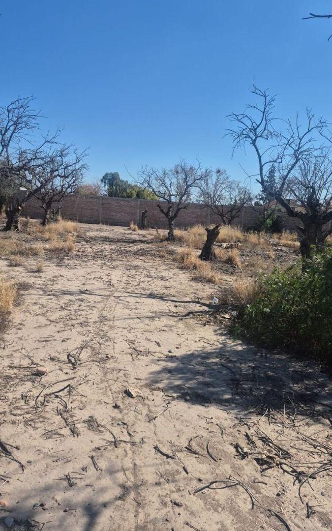 Foto de GRAN OPORTUNIDAD DE INVERSIÓN EN RODEO DE LA CRUZ, imagen 2