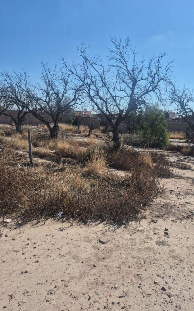 Foto de GRAN OPORTUNIDAD DE INVERSIÓN EN RODEO DE LA CRUZ, imagen 1