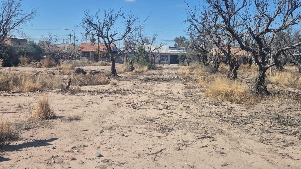 Foto de GRAN OPORTUNIDAD DE INVERSIÓN EN RODEO DE LA CRUZ, imagen 5