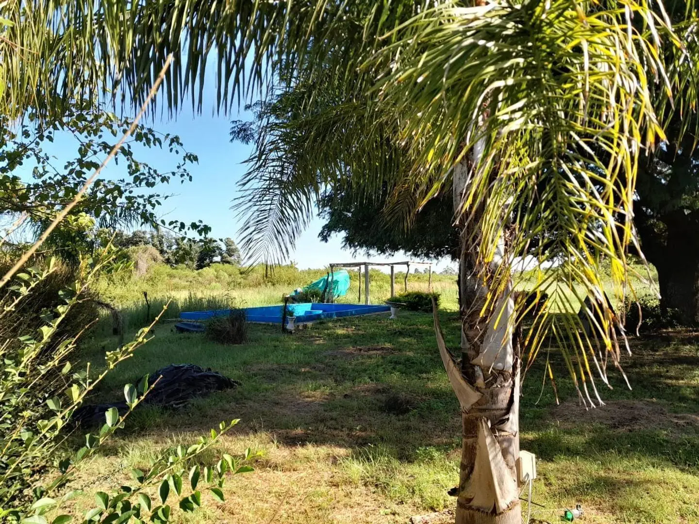 VENDO MAGNÍFICA CASA A ORILLAS DEL IMPONENTE ARROYO VEGA!!! 5