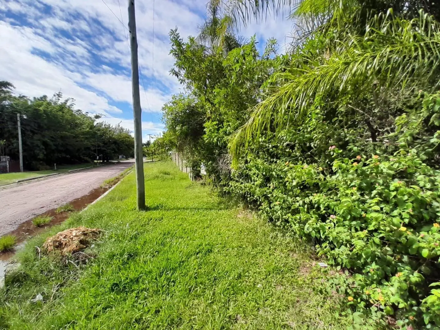 VENDO TERRENO PARQUIZADO DENTRO DEL CASCO EN ESQUINA CTES. 2