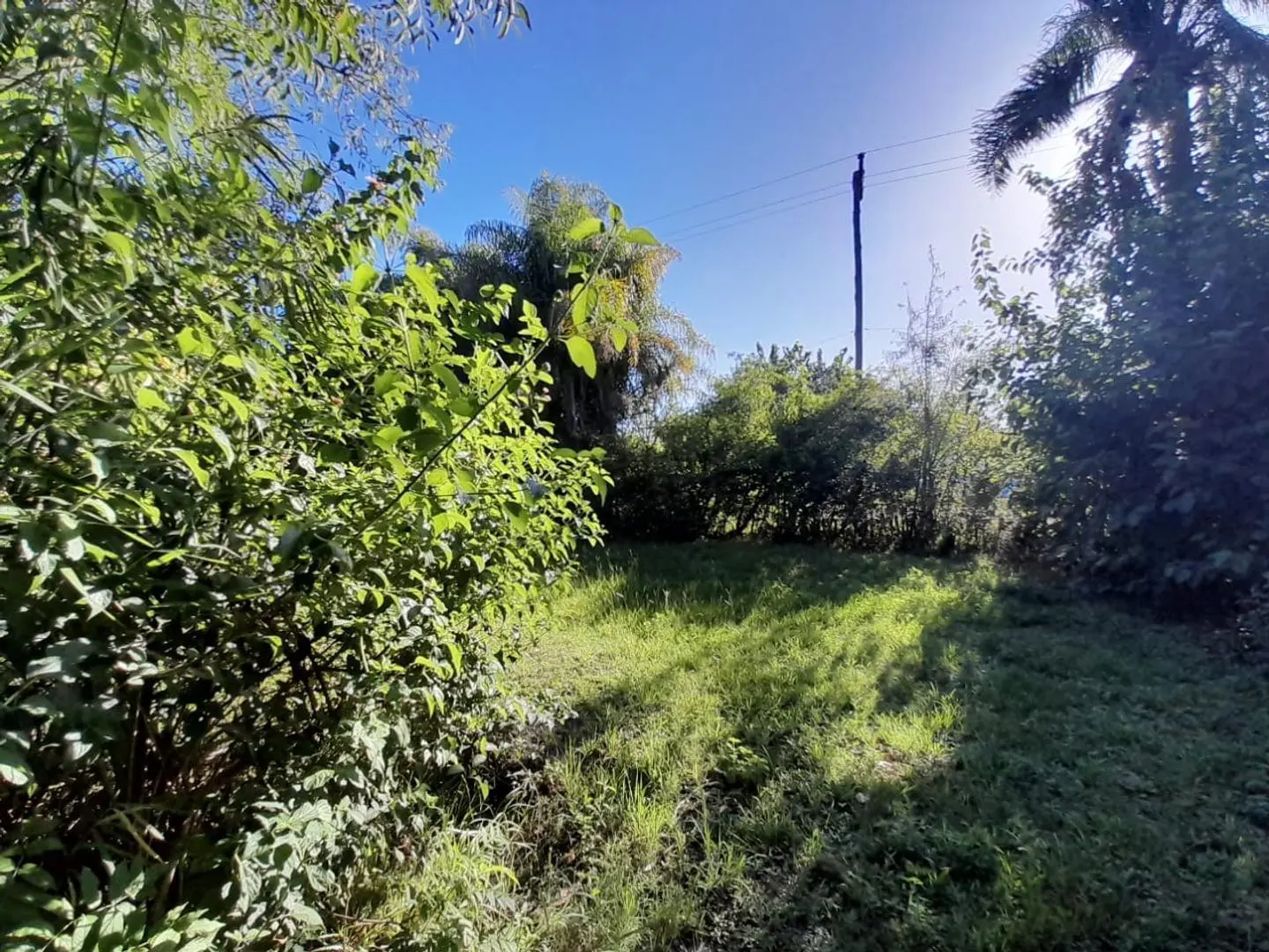 VENDO TERRENO PARQUIZADO DENTRO DEL CASCO EN ESQUINA CTES. 8