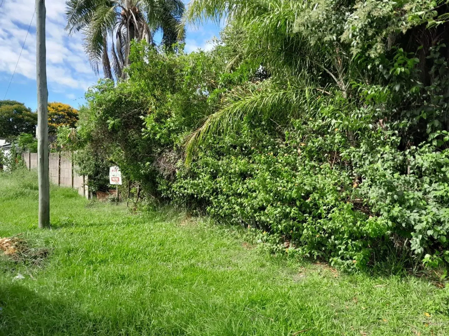 VENDO TERRENO PARQUIZADO DENTRO DEL CASCO EN ESQUINA CTES. 3