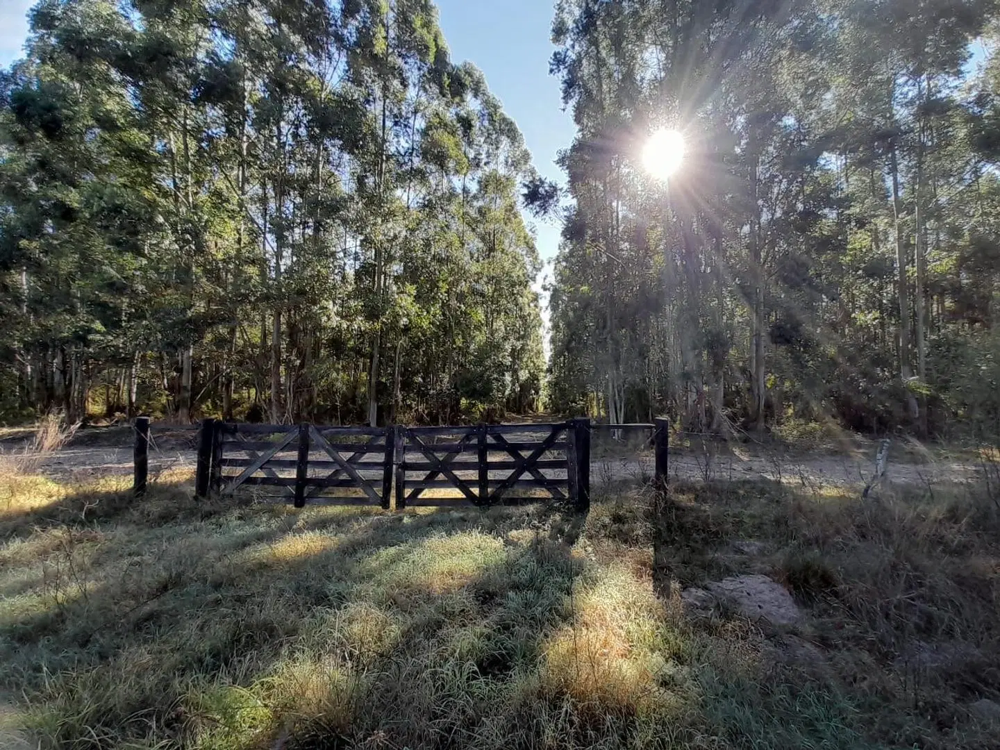 VENDO GRAN PARCELA EN EXCLUSIVO CAMPO PRIVADO!!! 3