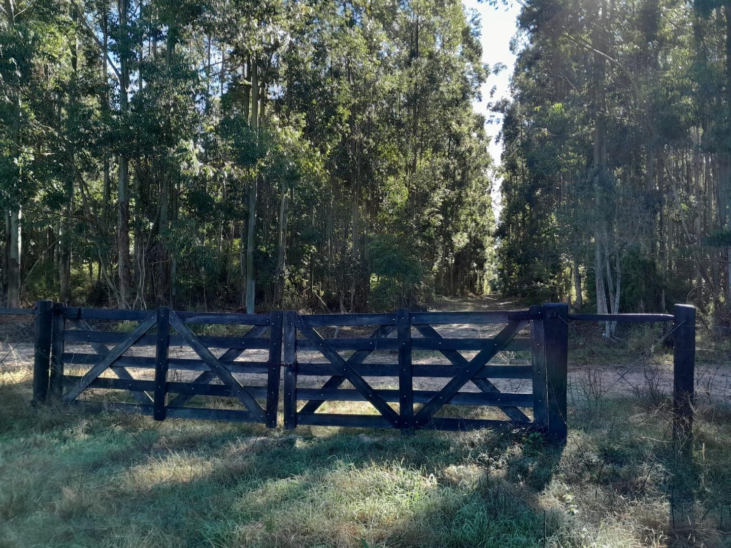 VENDO GRAN PARCELA EN EXCLUSIVO CAMPO PRIVADO!!!