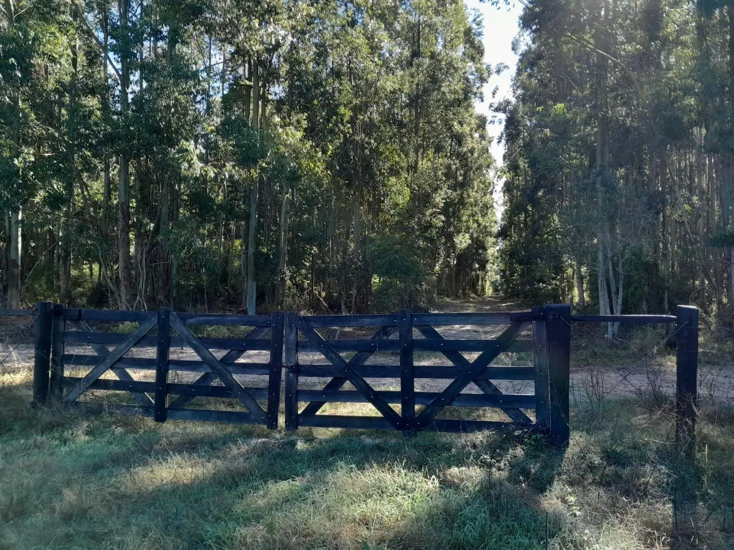 VENDO GRAN PARCELA EN EXCLUSIVO CAMPO PRIVADO!!! 5