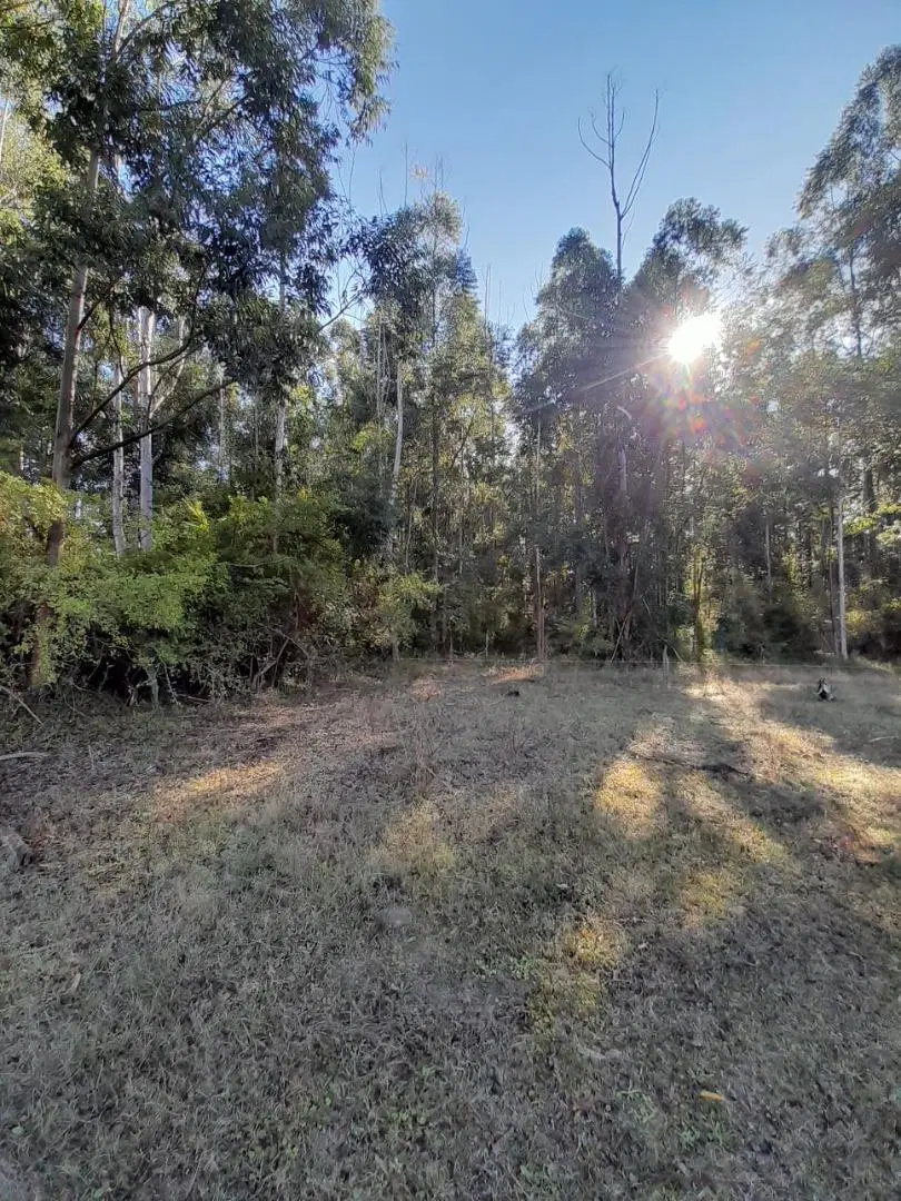 VENDO GRAN PARCELA EN EXCLUSIVO CAMPO PRIVADO!!! 2