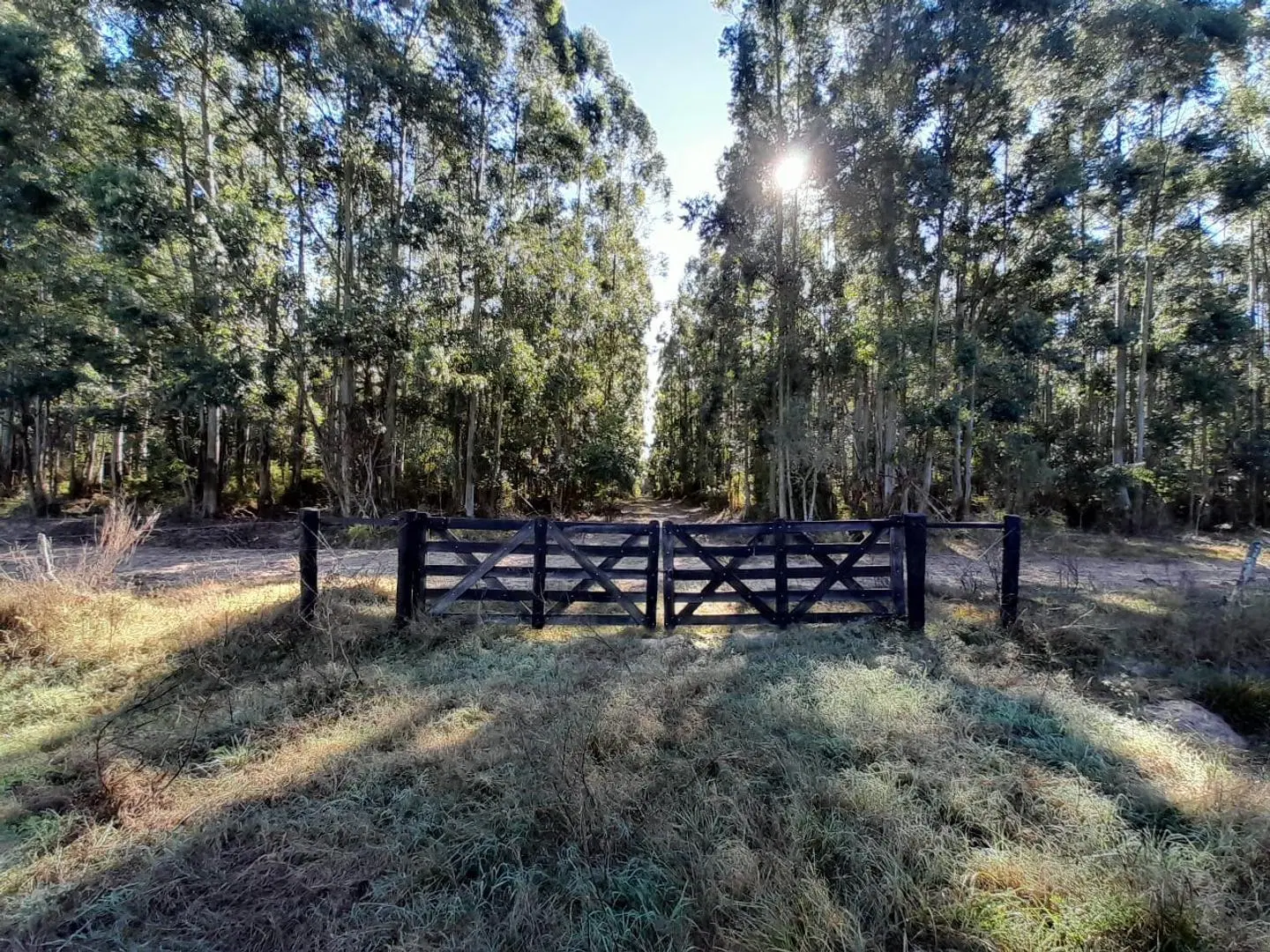 VENDO GRAN PARCELA EN EXCLUSIVO CAMPO PRIVADO!!! 1