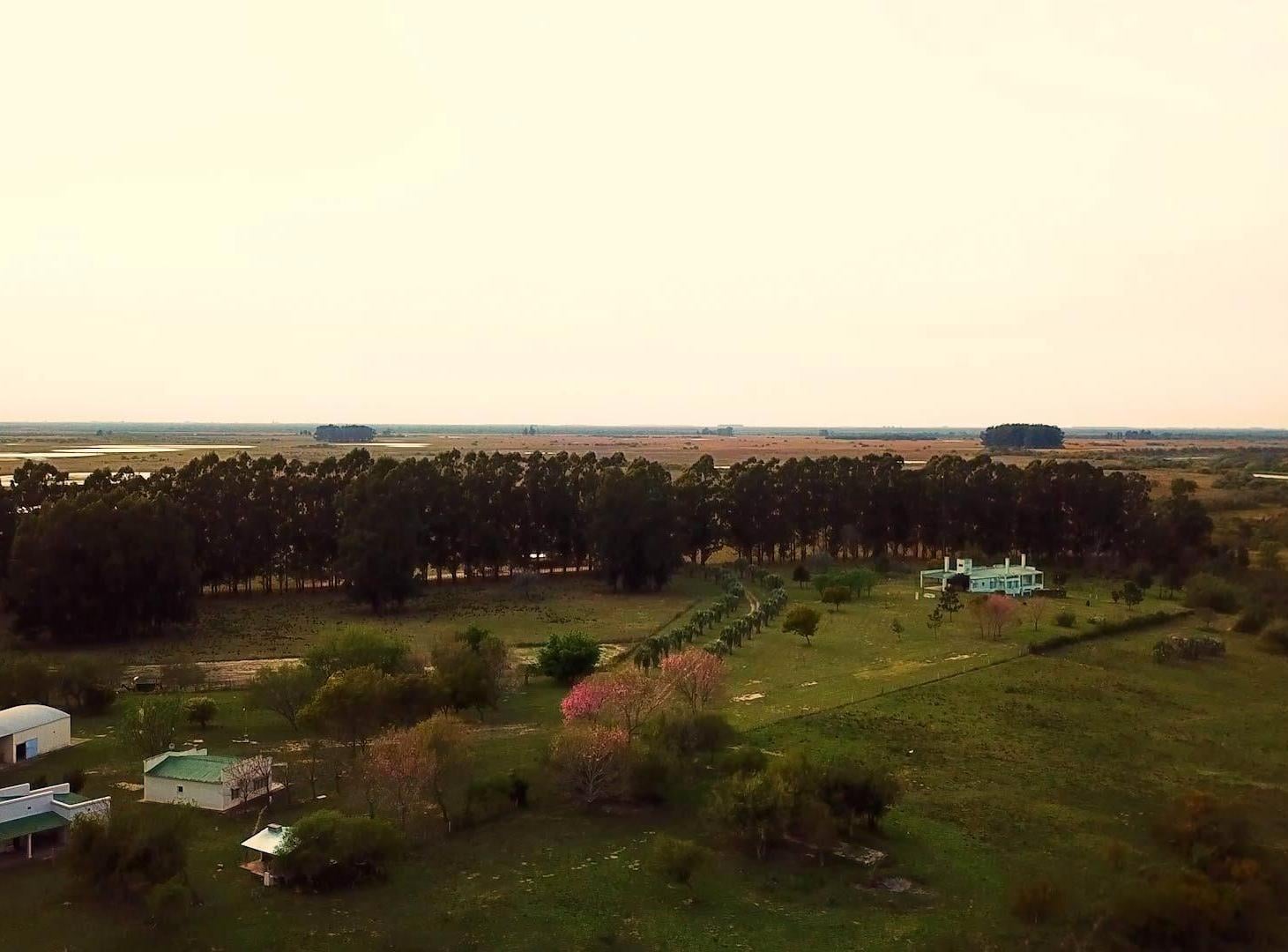 VENDO MARAVILLOSO CAMPO SOBRE EL RÍO EN ESQUINA CORRIENTES!