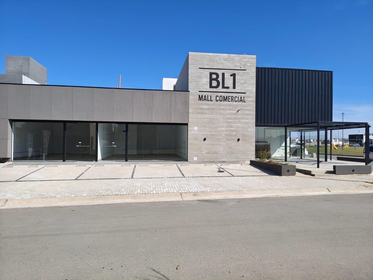 Foto de VENTA LOCAL COMERCIAL EN DOCTA AVENIDA, imagen 3
