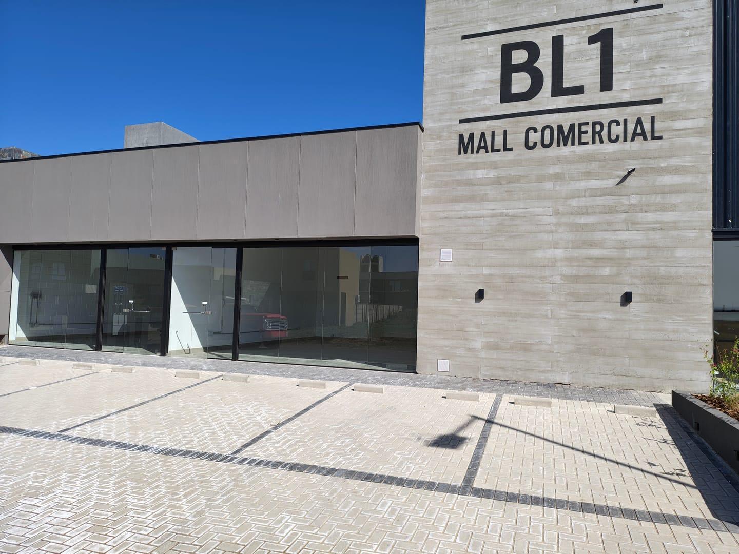 Foto de VENTA LOCAL COMERCIAL EN DOCTA AVENIDA, imagen 4