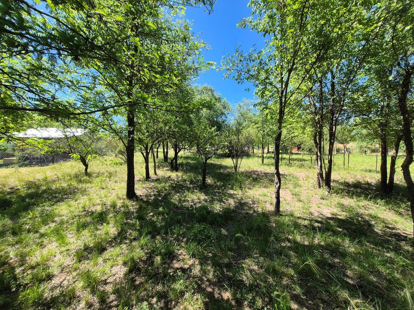 Foto de VENTA LOTE 800 M² CON ESCRITURA EN EL CONDADO – COSQUÍN, imagen 5