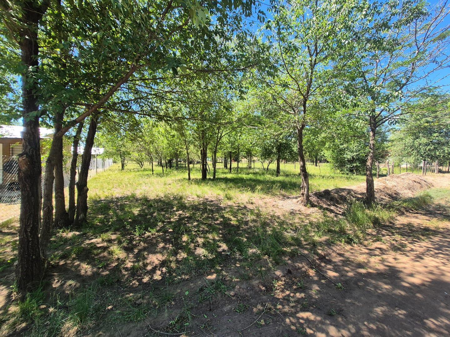 Foto de VENTA LOTE 800 M² CON ESCRITURA EN EL CONDADO – COSQUÍN, imagen 1