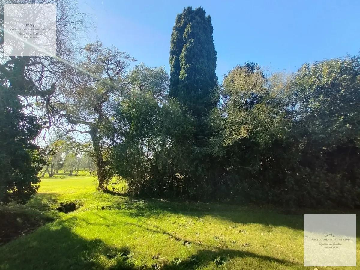 Foto de Se liquida Terreno al golf, imagen 4