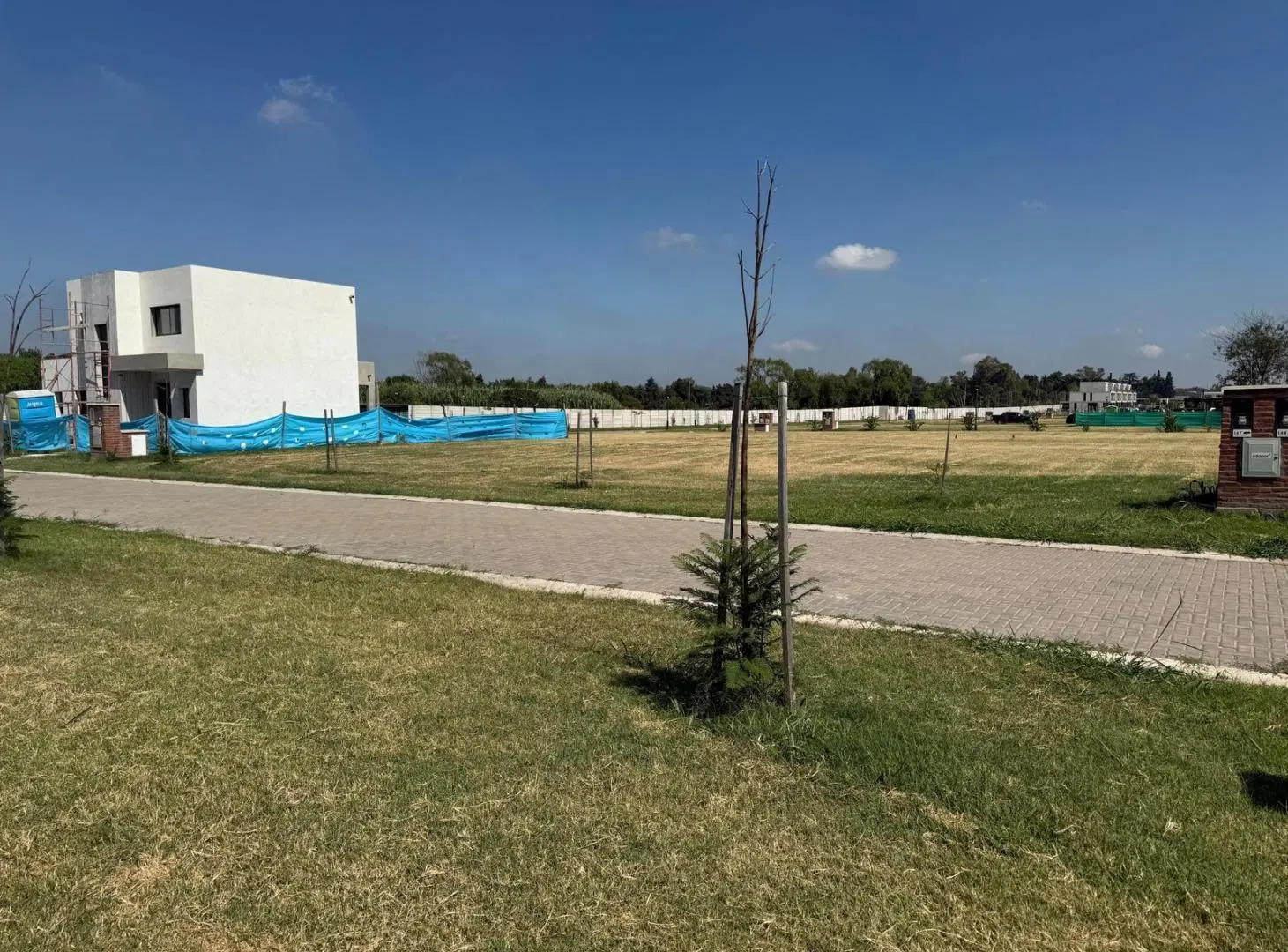 VENTA LOTE EN BARRIO EL OLIVAR PILAR FINANCIACION PROPIA 5