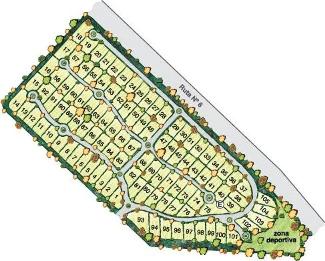 Plano 1