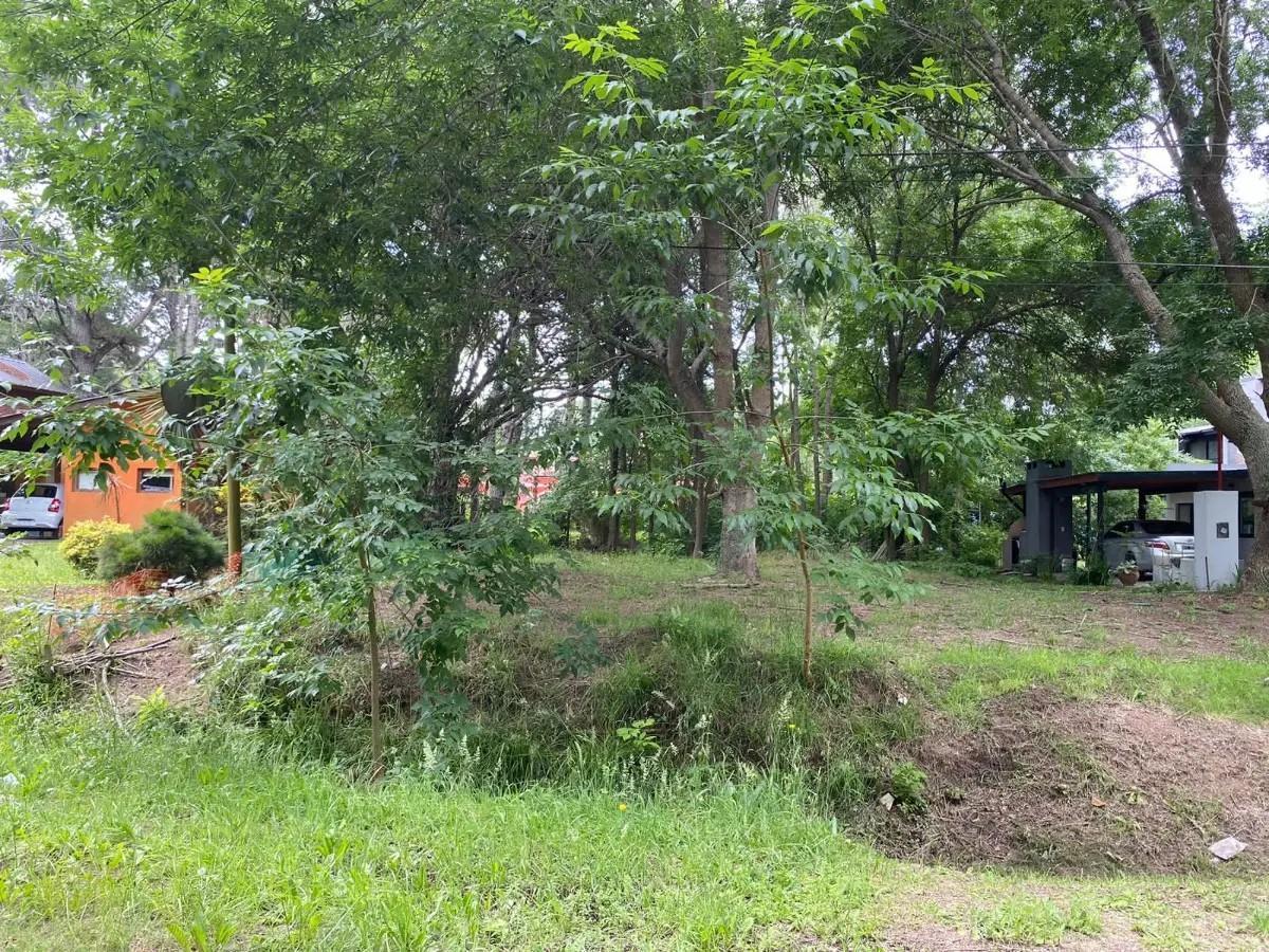 Foto de VENTA LOTE COSTA DEL ESTE, imagen 4