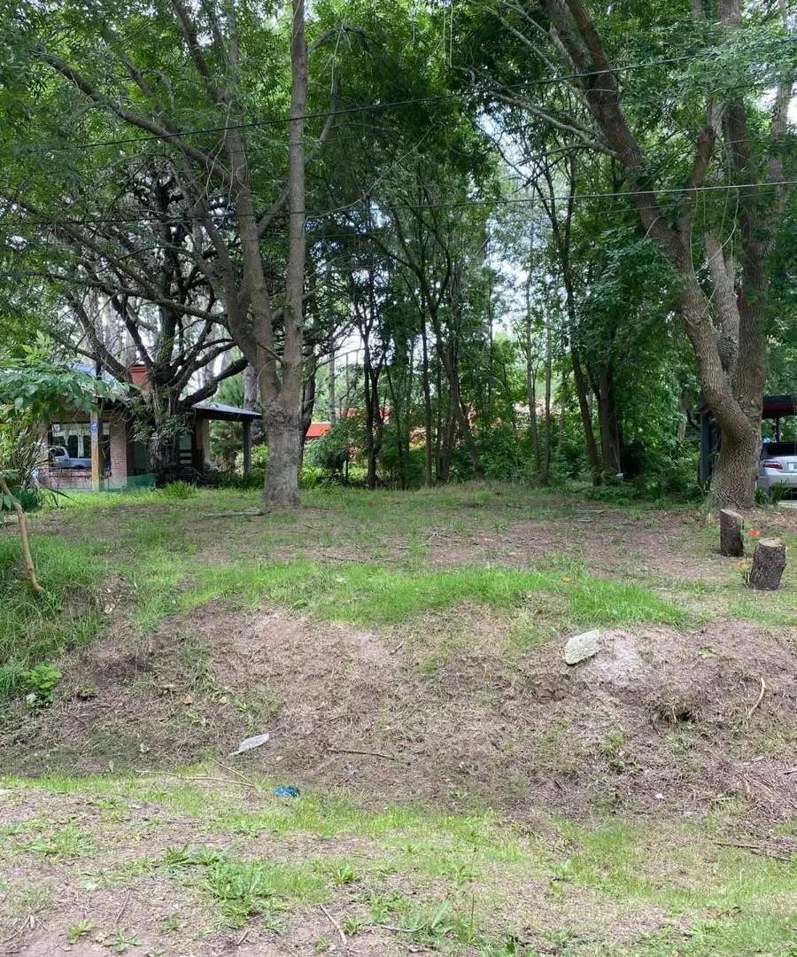 Foto de VENTA LOTE COSTA DEL ESTE, imagen 3