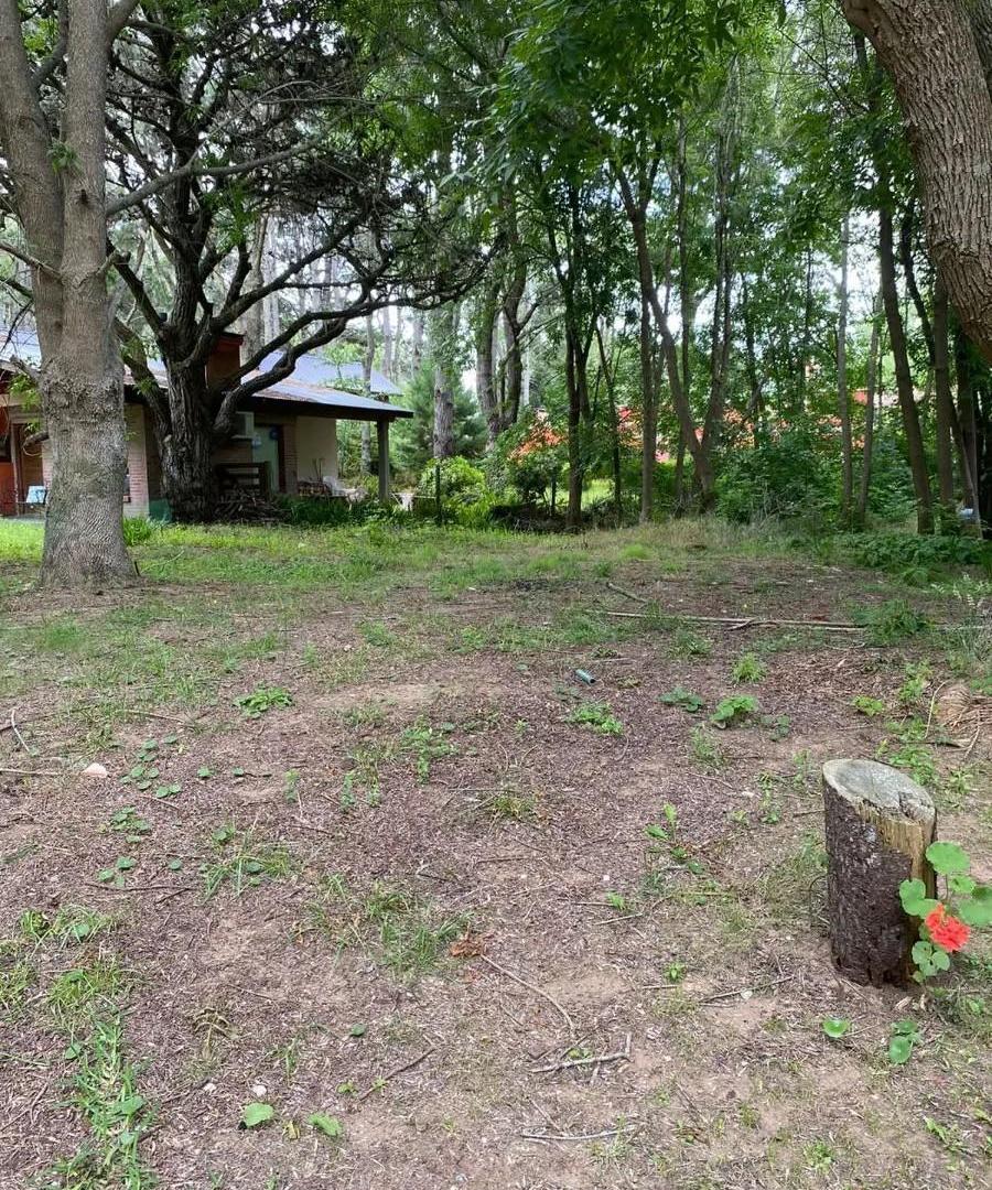 Foto de VENTA LOTE COSTA DEL ESTE, imagen 2