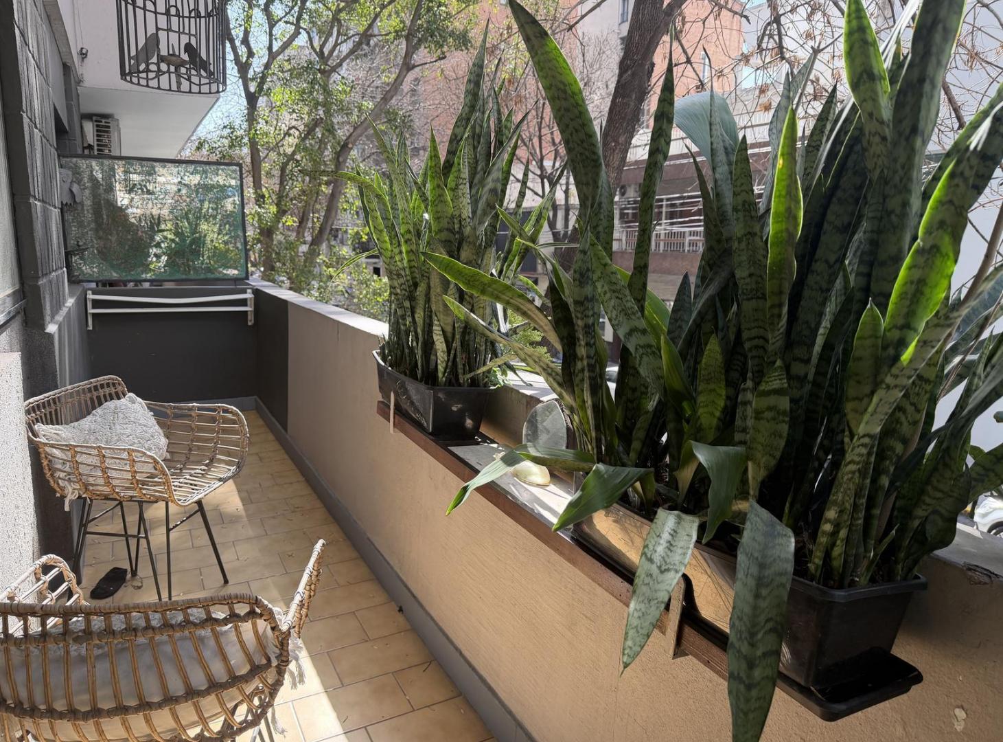 Foto de VENTA DEPARTAMENTO 3 AMBIENTES EN ALMAGRO BALCON Y BAULERA, imagen 3