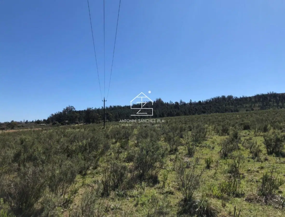 Venta de chacra en Lapataia 2
