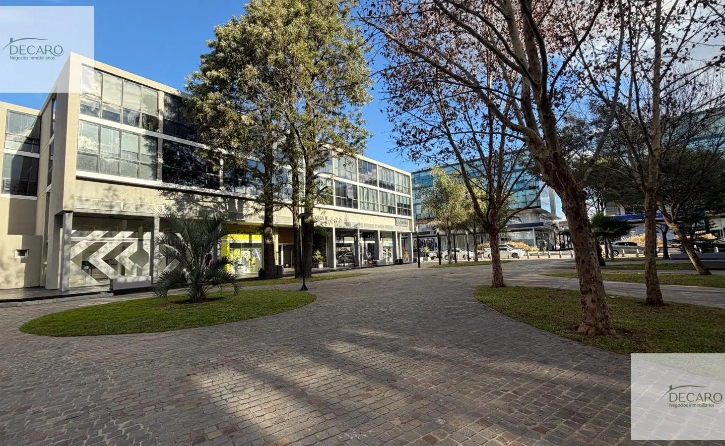 Local - Complejo 46 Plaza 5