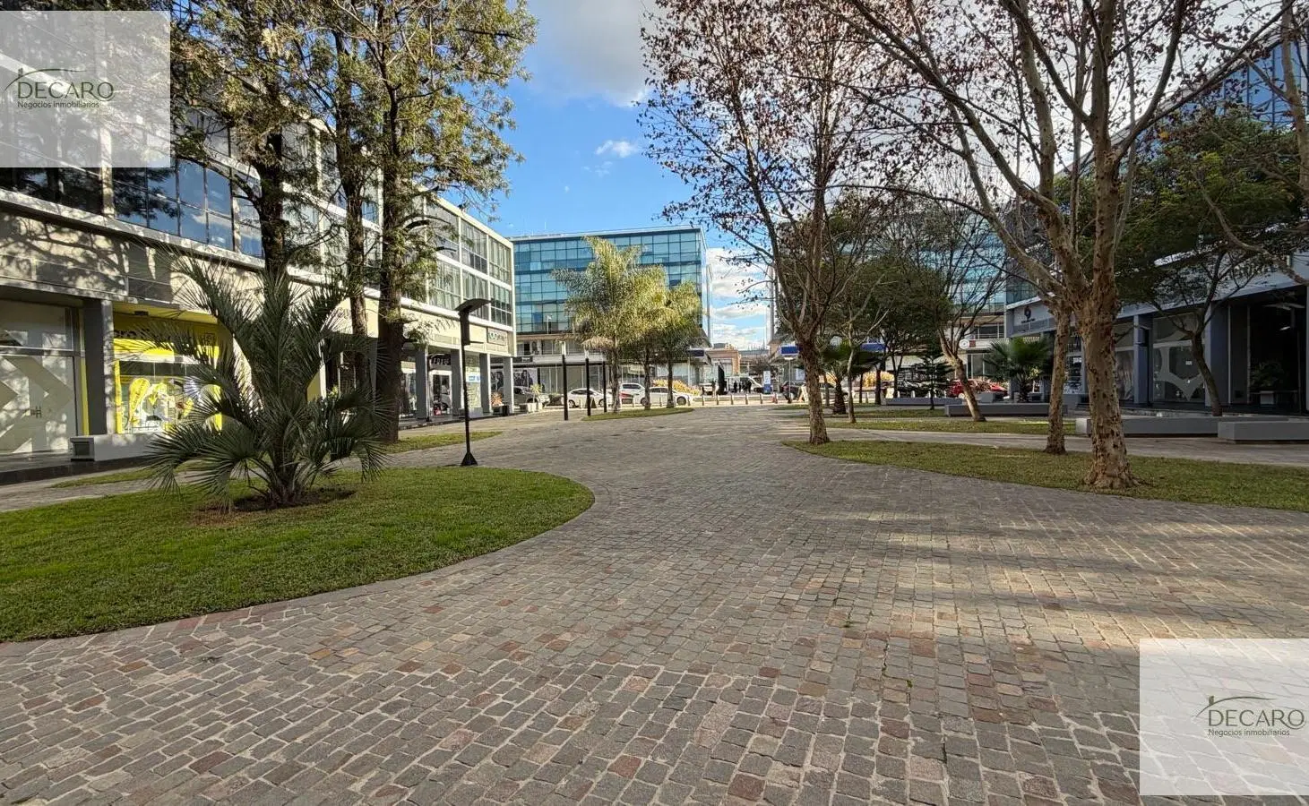 Local - Complejo 46 Plaza 1