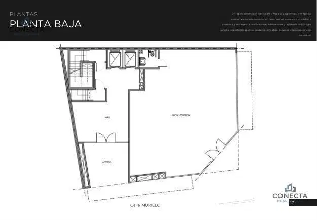 Plano 6