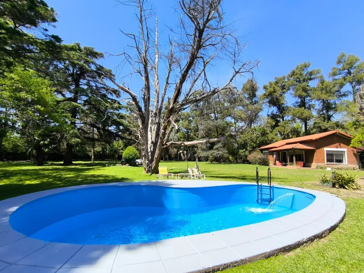 VENTA Y ALQUILER QUINTA EN RICARDO ROJAS, TIGRE, LOTE DE 4000m2 3