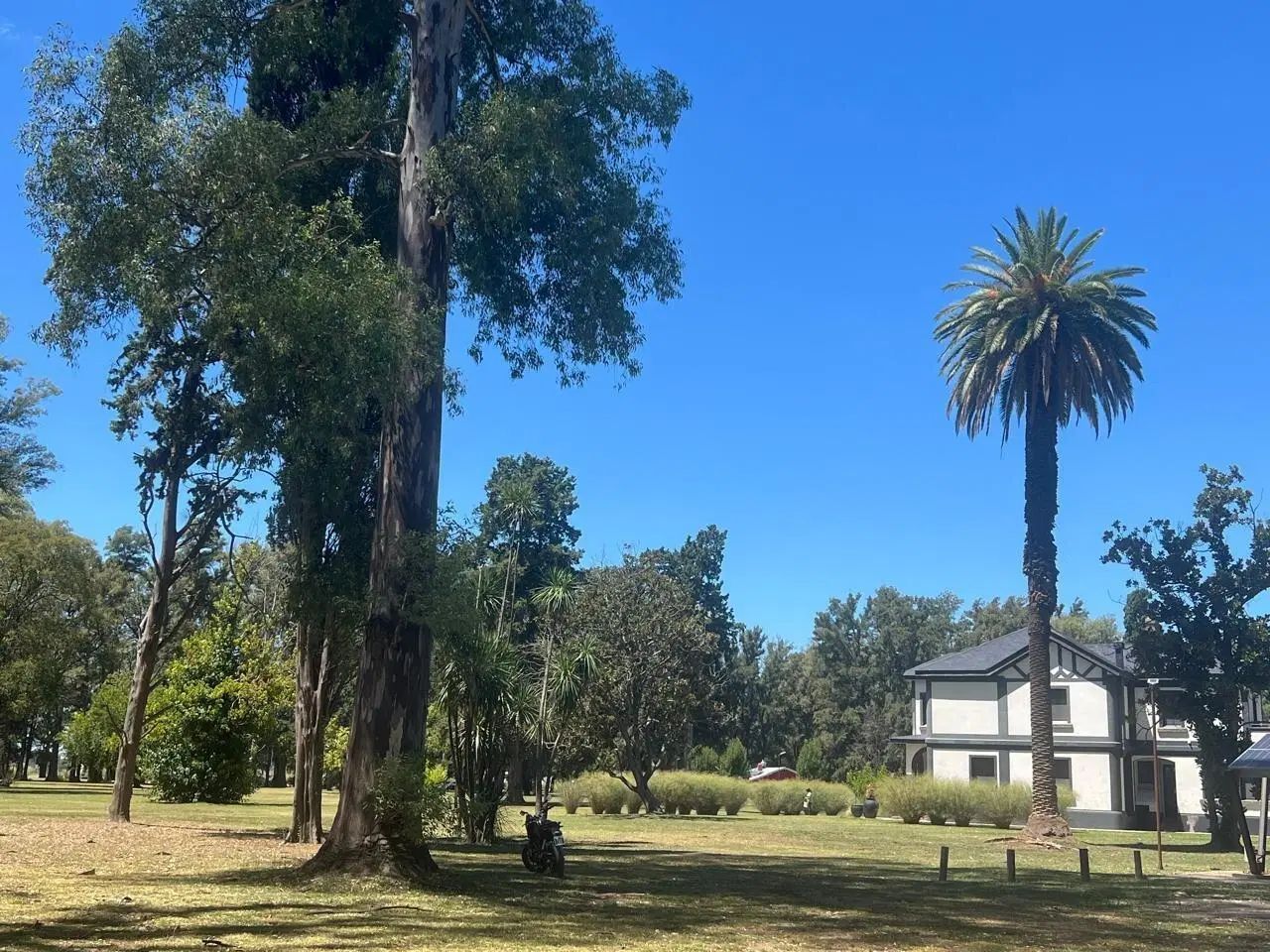 VENTA DE  LOTE EN BARRIO POLO, TRES PINOS.  GENERAL RODRIGUEZ 2
