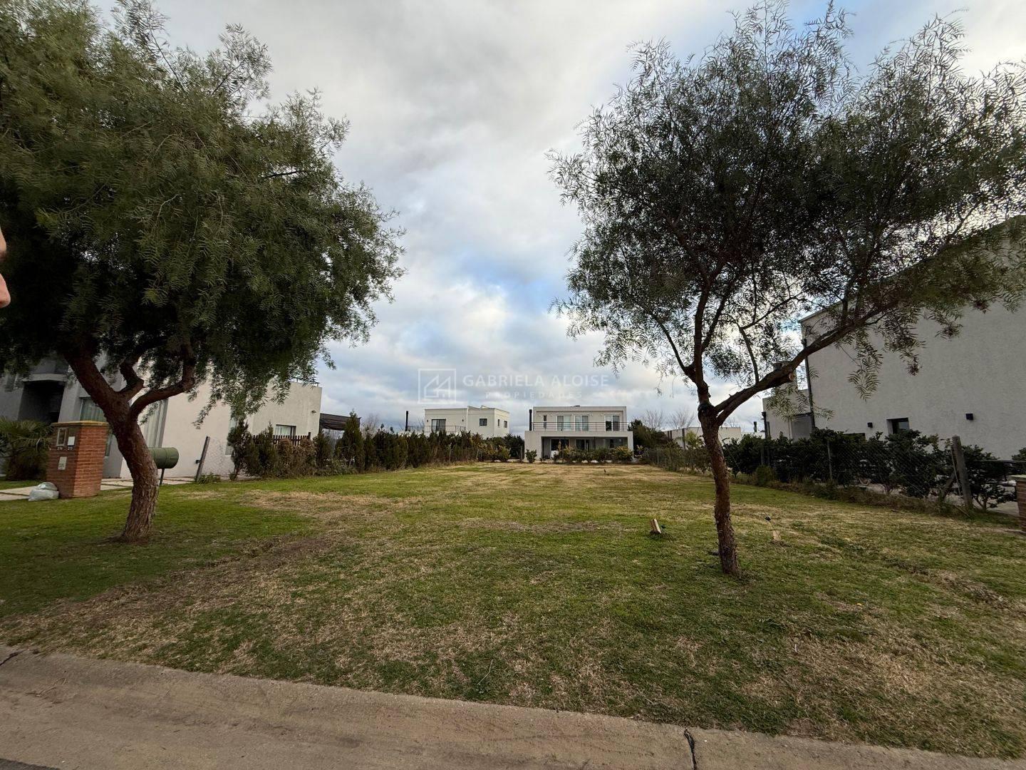 Foto de Venta de Lote en Barrio San Ramón, Pilar del Este, Pilar, imagen 2