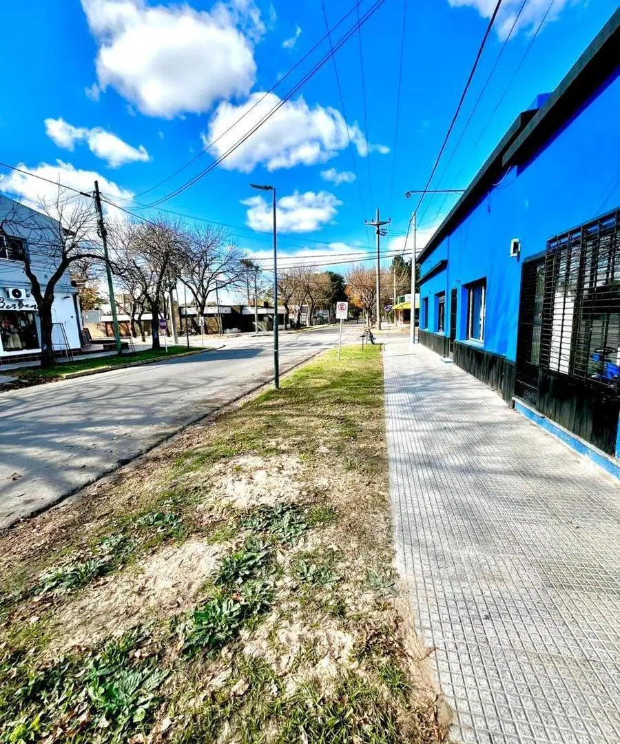 Local en Centro 4