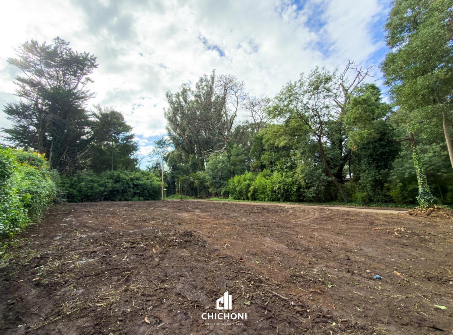 Foto de Venta - Terreno 483 m2 - Bosque Peralta Ramos, imagen 5
