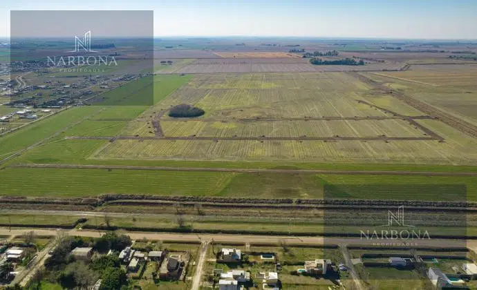 VENTA LOTE EN VIDA LAGOON- LOTE N°678- SUPERFICIE: 962M2 2