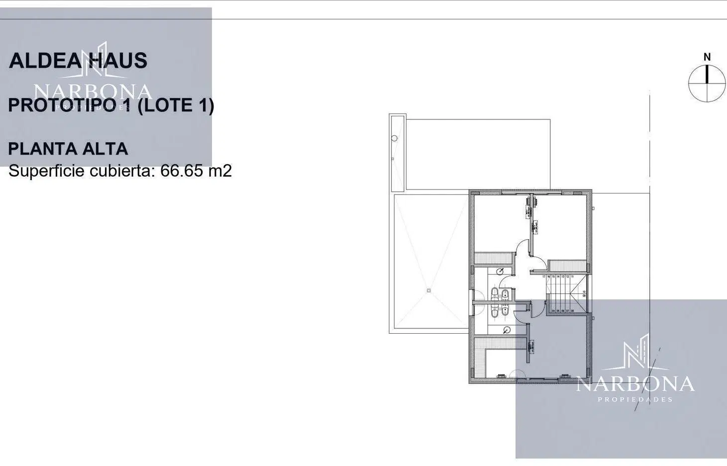 Plano 6