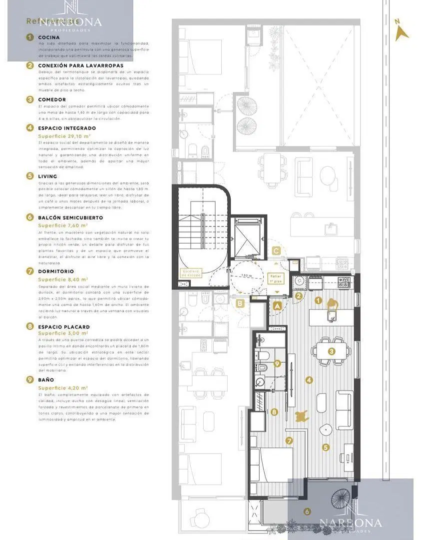 Plano 1