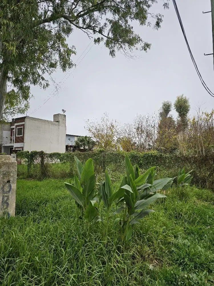 Terreno en Villa Elvira 2