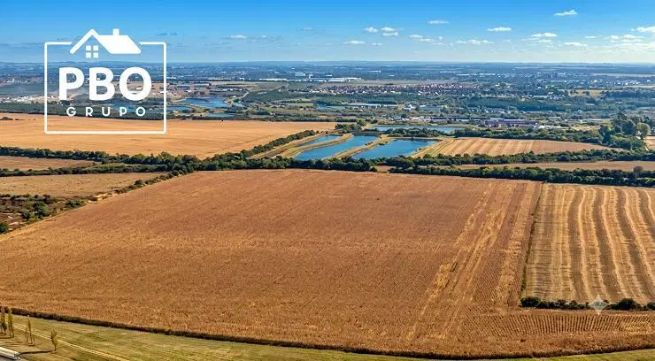 CAMPO 40 HECTAREAS ACCESO A CORDOBA AUTOPISTA VILLA MARIA - CORDOBA 4