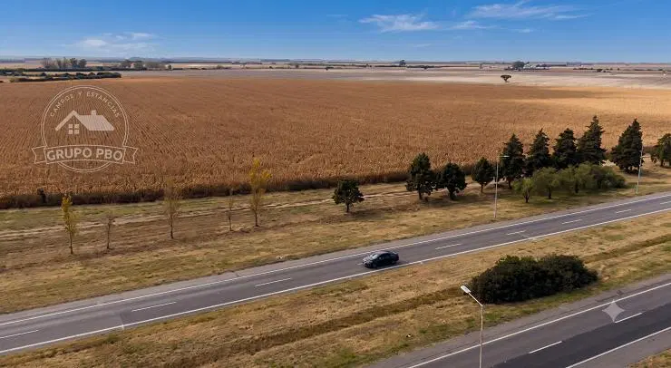 CAMPO 40 HECTAREAS ACCESO A CORDOBA AUTOPISTA VILLA MARIA - CORDOBA 2